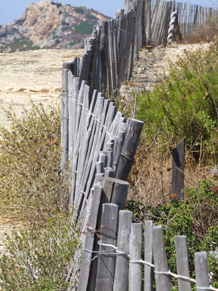 Palisade wood beach