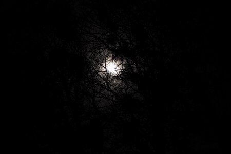 Night north moon photo