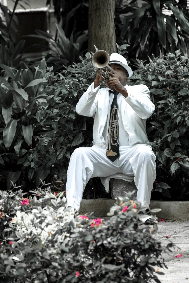 Cuban joy musician