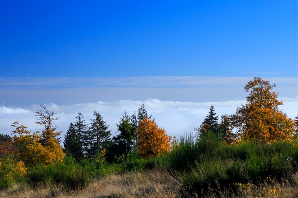Spreitz head wittgensteiner land fog