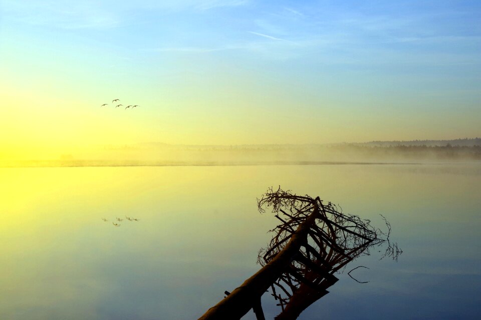 In the morning sky mood