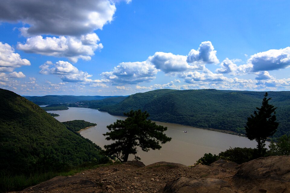 River new york trees