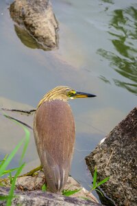 Park tropical wildlife