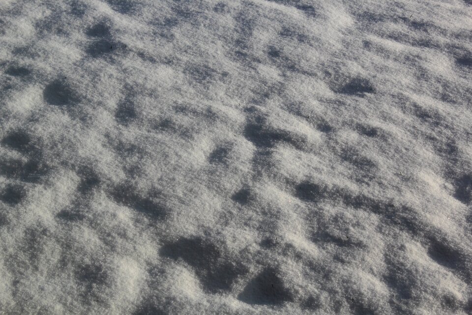 Fresh snowfall nature