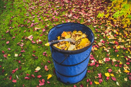 Yard work pick up leaves season