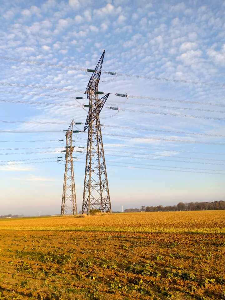 Electricity power poles powerlines