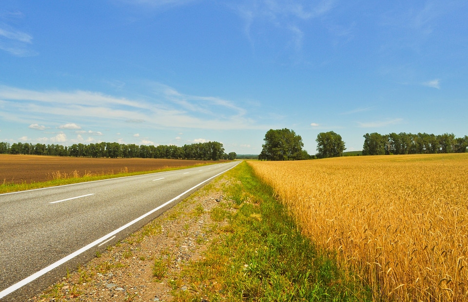 Landscape nature road