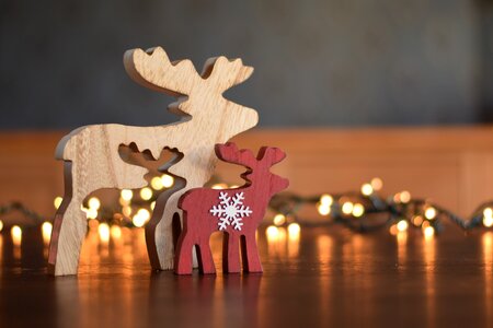 Deer lights christmas card photo