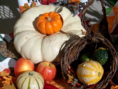 Harvest autumn abundance