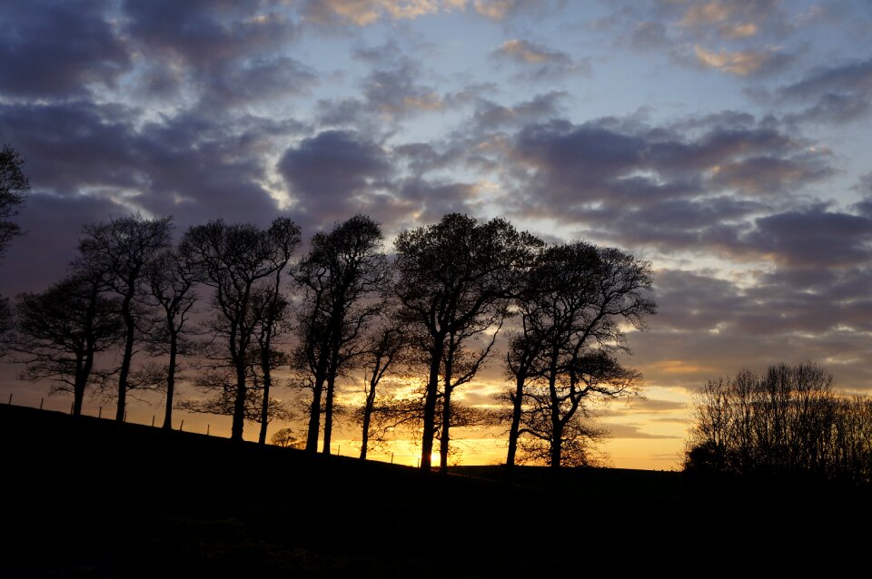 Evening sunset