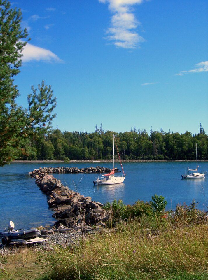 Harbor nature water