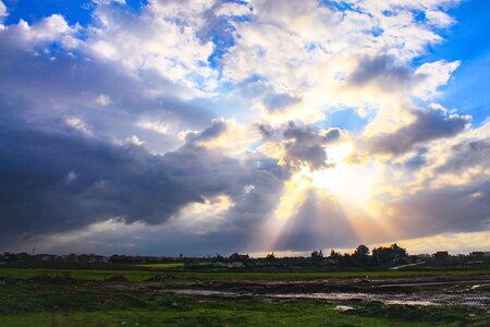 Nature sun winter