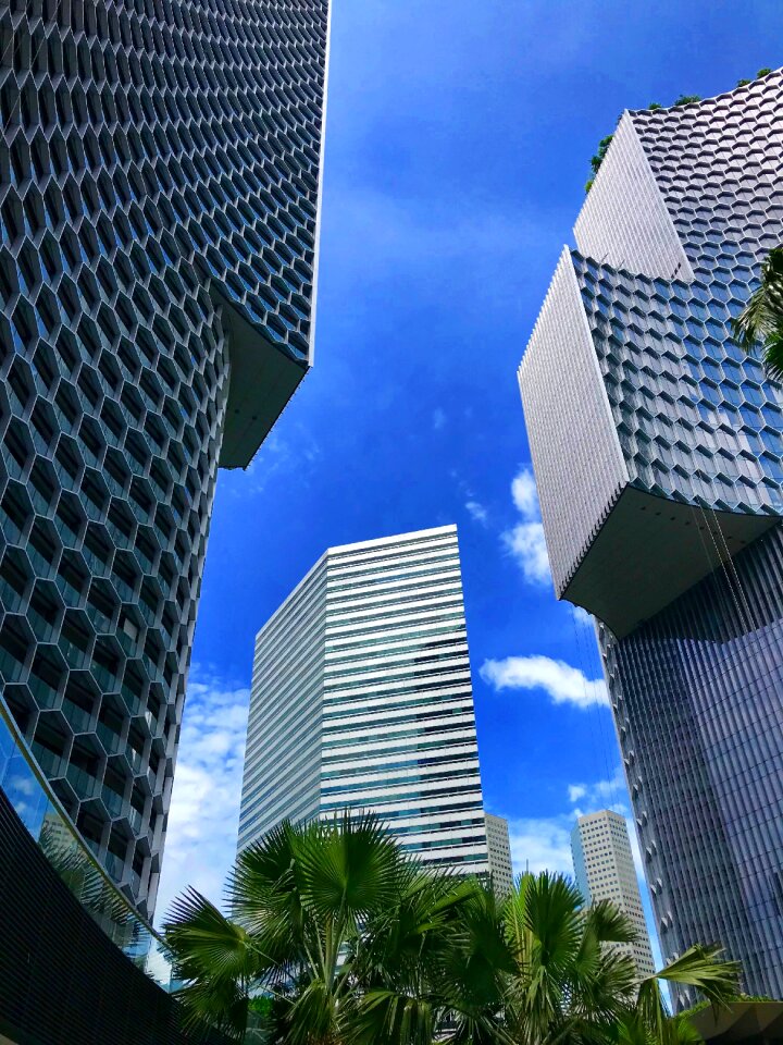 Tower skyscraper skyline