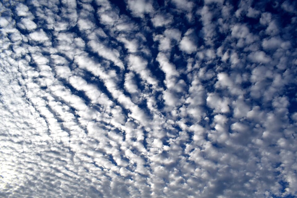 Clusters climate summer