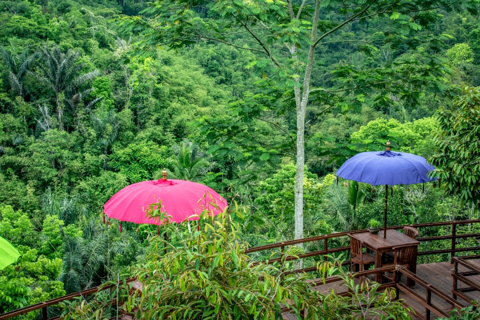Outdoor holiday active