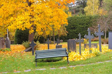 Autumn grave bench