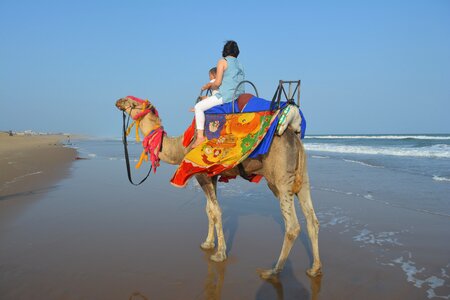 Beach ride beach