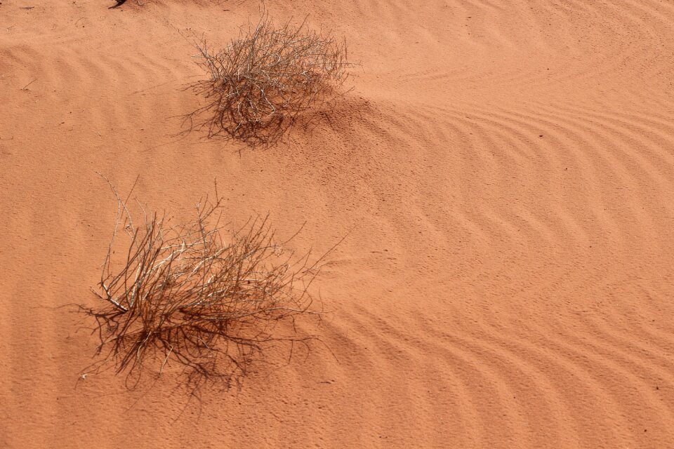 Dunes traces landscape