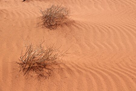 Dunes traces landscape