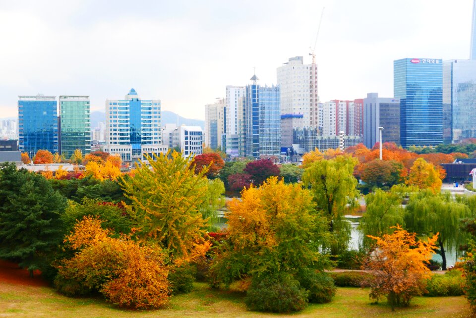 Park autumn leaves Free photos