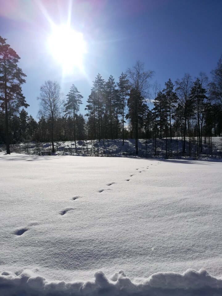 Winter cold nature