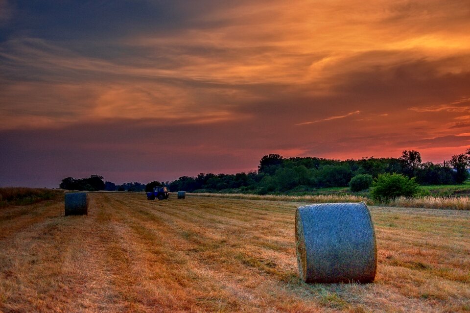 Harvest agriculture rural photo