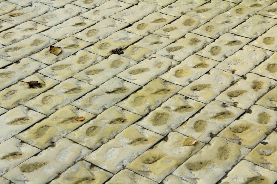 Texture street urban