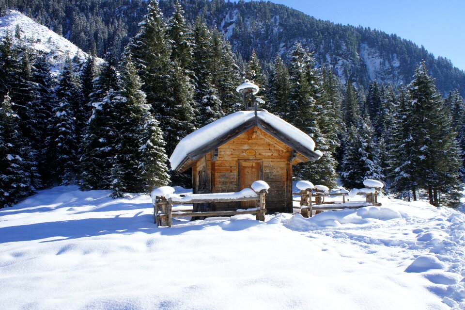 Christmas advent nature