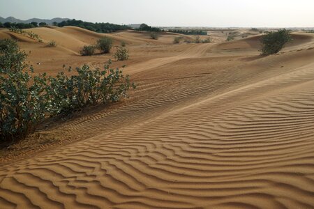 Landscape history loneliness photo