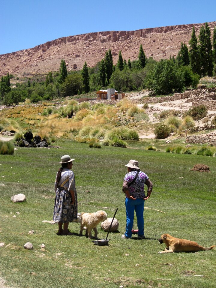 Landscape atacama desert hill