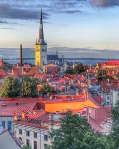 Estonia filter tallinn photo