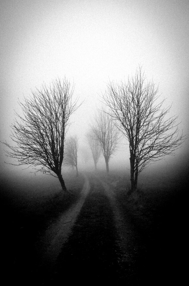 Mood melancholy autumn