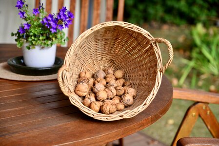 Walnut basket autumn