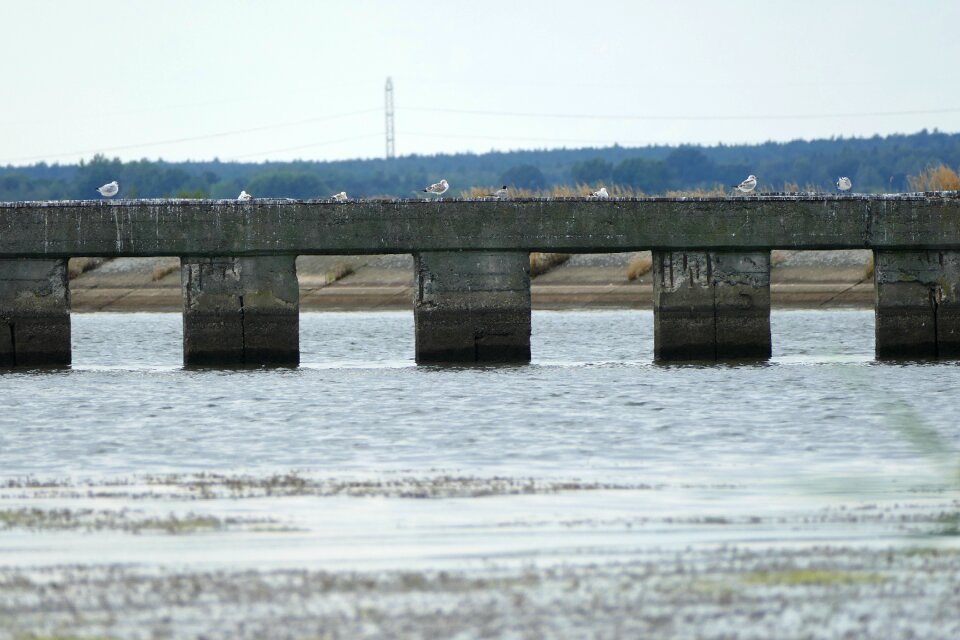 Lagoon way landscape