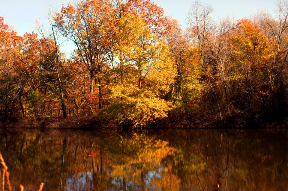 Autumn color colorful