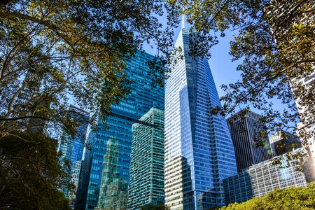 Buildings trees architecture