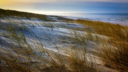 Beach frost dunes