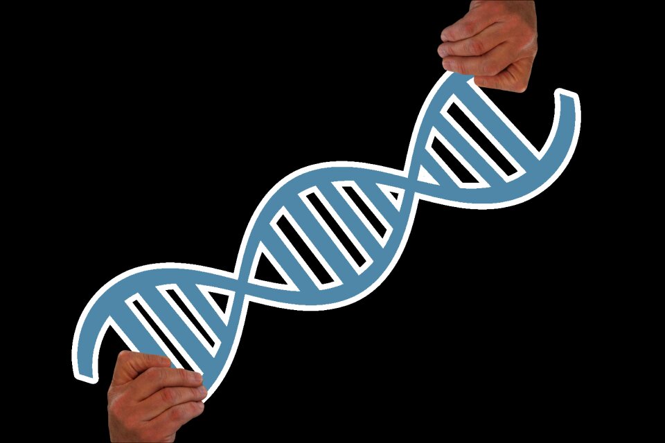 Graphic dna heritage