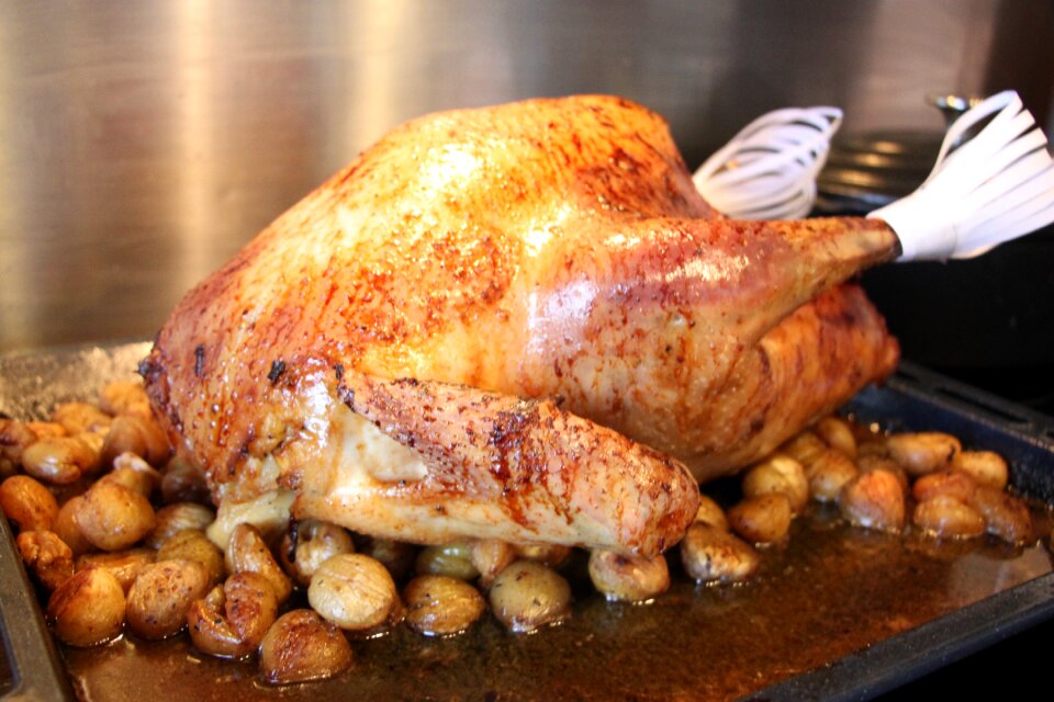 Food poultry fall
