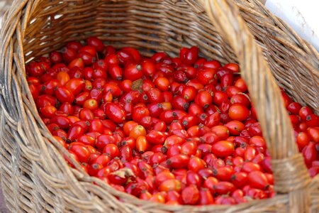 Basket red autumn photo