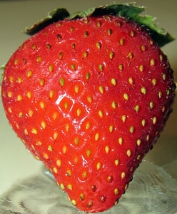 Tasty leaves fruit