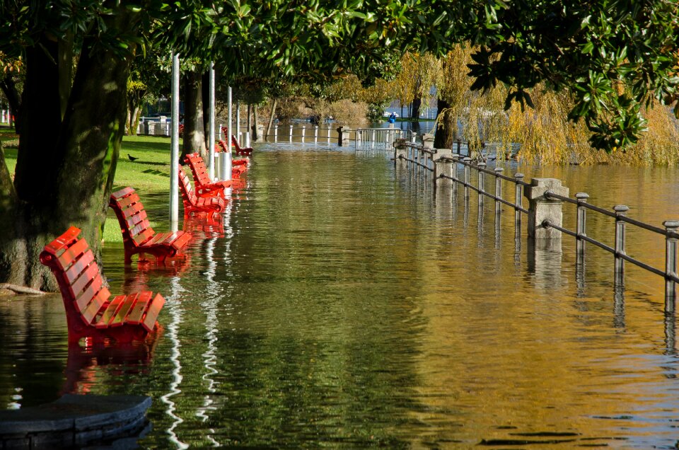 Nature landscape flood