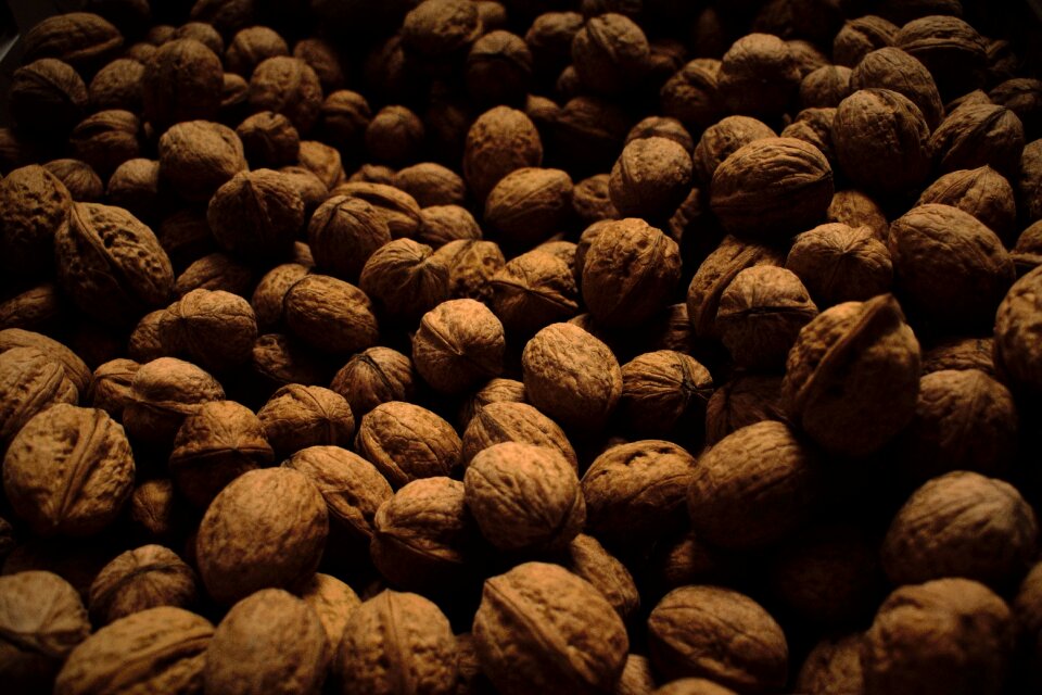 Dark brown harvest