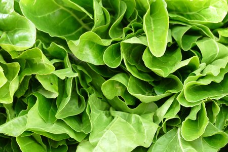 Food vitamins vegetables