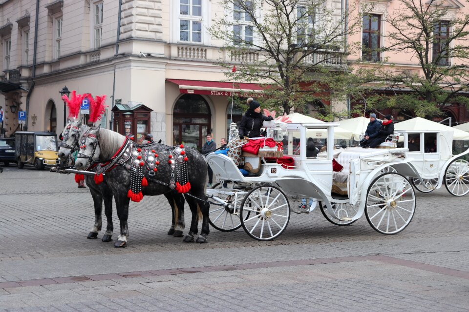 Carriage krakow entertainment