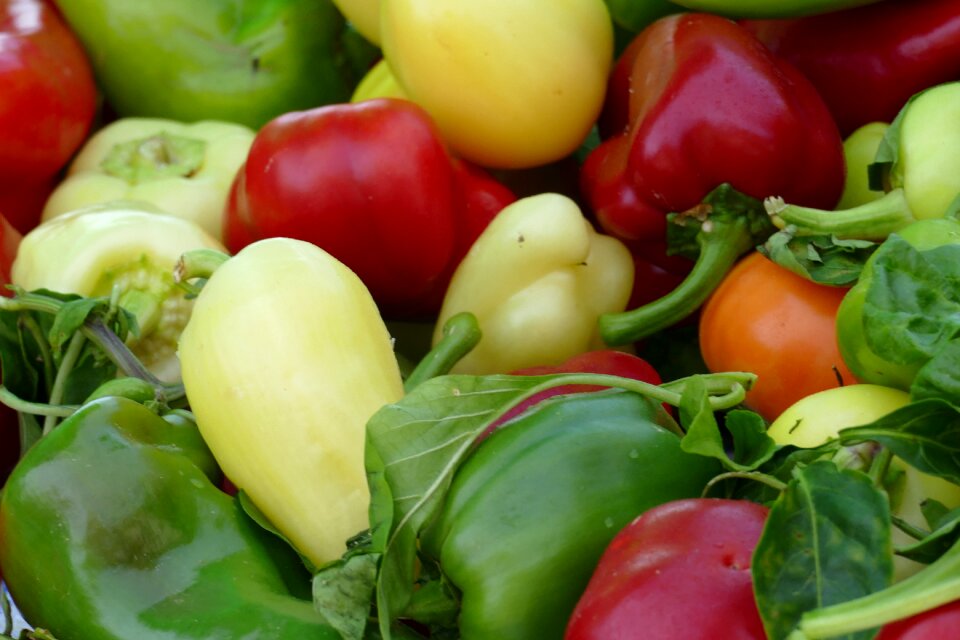 Food vegetables vegetarian