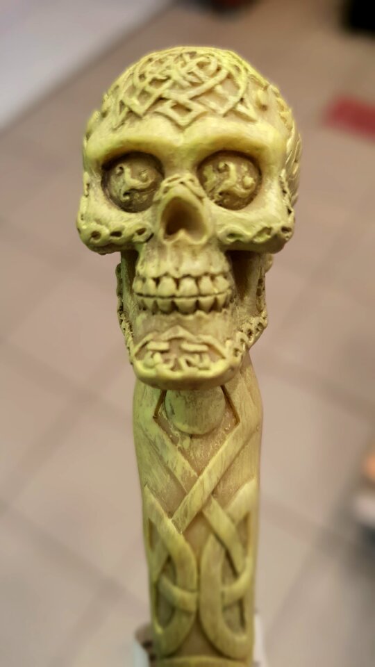Skull brown skull