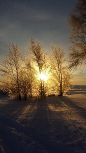 Snow rural