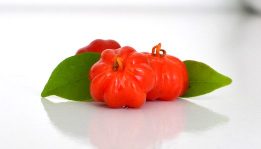 Pitangueira red silvestre