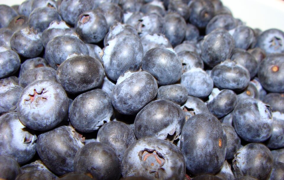 Food healthy delicious
